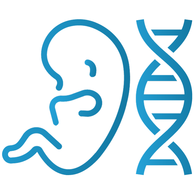 Screening del DNA fetale non invasivo (NIPT)